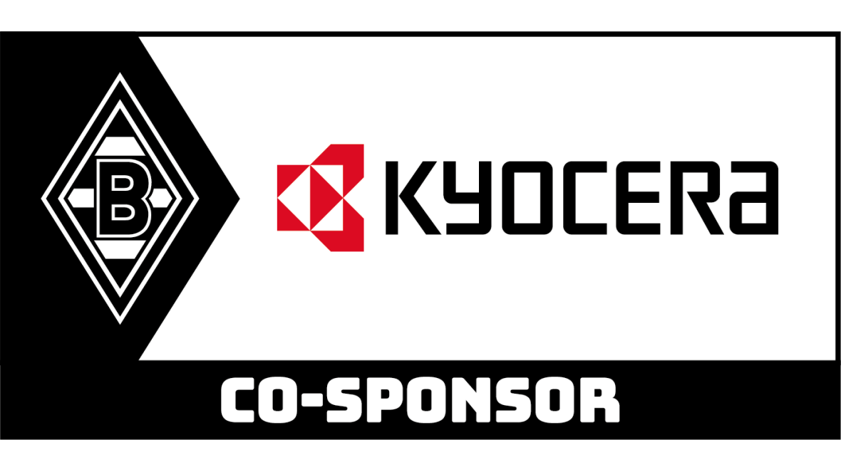 logo-co-sponsor
